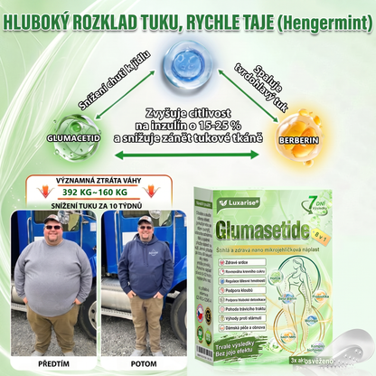 Luxarise®🌿Glumasetide 8v1 Stihla a zdrava nano mikrojehlickova naplast(1krát denně – viditelné změny až za 7 dní) ✅Pro obezitu, zpevnění kůže, cukrovku, spánkovou apnoe, klouby atd.